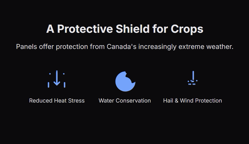 A Protective Shield for Crops
Panels offer protection from Canada's increasingly extreme weather.

Reduced Heat Stress
Water Conservation
Hail & Wind Protection