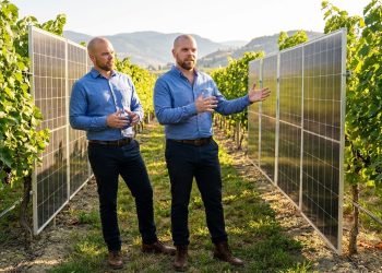 Solar in the Vineyard: Is Agrivoltaics the Next Big Solar Trend for BC Farms and Canadian Small Businesses?