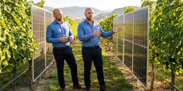 Solar in the Vineyard: Is Agrivoltaics the Next Big Solar Trend for BC Farms and Canadian Small Businesses?